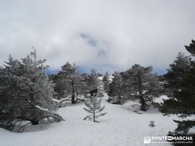 Siete Picos - Parque Nacional Cumbres del Guadarrama;sierra de irati tiendas de montaña madrid